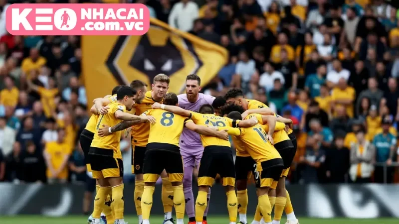 Lịch sử đối đầu của hai đội Wolverhampton Wanderers vs Chelsea trong quá khứ